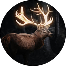 Lade das Bild in den Galerie-Viewer, Aluminiumbild gebürstet Magischer Hirsch Kreis