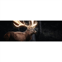Lade das Bild in den Galerie-Viewer, Leinwandbild Magischer Hirsch Panorama