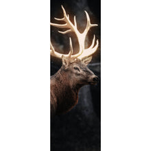 Lade das Bild in den Galerie-Viewer, Spannrahmenbild Magischer Hirsch Panorama Hoch