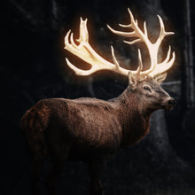 Lade das Bild in den Galerie-Viewer, Leinwandbild Magischer Hirsch Quadrat