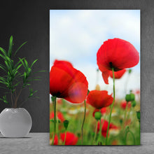 Lade das Bild in den Galerie-Viewer, Aluminiumbild gebürstet Mohnblumen Feld Hochformat