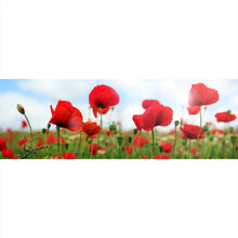 Lade das Bild in den Galerie-Viewer, Aluminiumbild Mohnblumen Feld Panorama