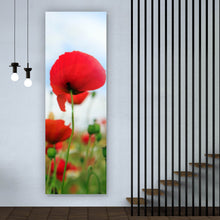 Lade das Bild in den Galerie-Viewer, Aluminiumbild gebürstet Mohnblumen Feld Panorama Hoch
