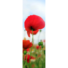 Lade das Bild in den Galerie-Viewer, Aluminiumbild Mohnblumen Feld Panorama Hoch