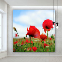 Lade das Bild in den Galerie-Viewer, Acrylglasbild Mohnblumen Feld Quadrat