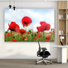Lade das Bild in den Galerie-Viewer, Spannrahmenbild Mohnblumen Feld Querformat