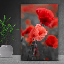 Lade das Bild in den Galerie-Viewer, Poster Mohnblumen im Wind Hochformat