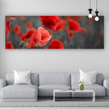 Lade das Bild in den Galerie-Viewer, Poster Mohnblumen im Wind Panorama