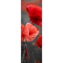 Lade das Bild in den Galerie-Viewer, Acrylglasbild Mohnblumen im Wind Panorama Hoch