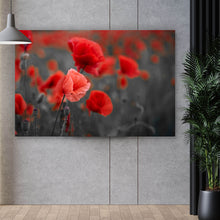 Lade das Bild in den Galerie-Viewer, Spannrahmenbild Mohnblumen Querformat