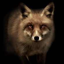 Lade das Bild in den Galerie-Viewer, Poster Mystischer Fuchs Digital Art Quadrat
