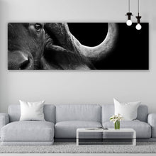 Lade das Bild in den Galerie-Viewer, Poster Nahaufnahme eines afrikanischen Büffels Panorama