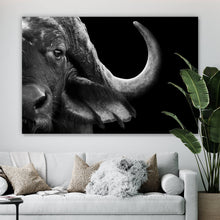 Lade das Bild in den Galerie-Viewer, Poster Nahaufnahme eines afrikanischen Büffels Querformat