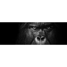 Lade das Bild in den Galerie-Viewer, Acrylglasbild Nahaufnahme Gorilla auf schwarzem Hintergrund Panorama