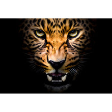 Lade das Bild in den Galerie-Viewer, Poster Nahaufnahme Leopard auf schwarzem Hintergrund Querformat