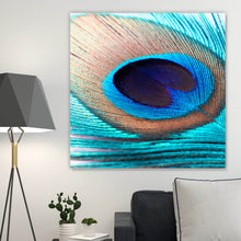 Lade das Bild in den Galerie-Viewer, Leinwandbild Pfauenfeder Türkis Quadrat