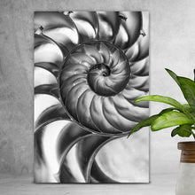 Lade das Bild in den Galerie-Viewer, Acrylglasbild Nahaufnahme Schneckenhaus Schwarz Weiß Hochformat