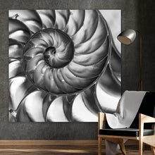 Lade das Bild in den Galerie-Viewer, Poster Nahaufnahme Schneckenhaus Schwarz Weiß Quadrat