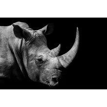Lade das Bild in den Galerie-Viewer, Aluminiumbild Nashorn auf schwarzem Hintergrund Querformat