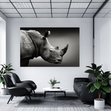 Lade das Bild in den Galerie-Viewer, Aluminiumbild Nashorn Schwarz-Weiß Querformat