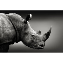 Lade das Bild in den Galerie-Viewer, Leinwandbild Nashorn Schwarz-Weiß Querformat