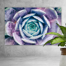 Lade das Bild in den Galerie-Viewer, Acrylglasbild Neonfarbene Sukkulente Querformat