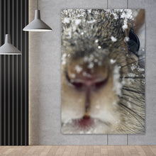 Lade das Bild in den Galerie-Viewer, Poster Neugieriges Eichhörnchen im Schnee Hochformat