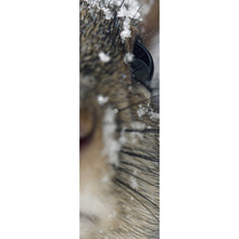 Lade das Bild in den Galerie-Viewer, Poster Neugieriges Eichhörnchen im Schnee Panorama Hoch