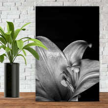 Lade das Bild in den Galerie-Viewer, Aluminiumbild Osterlilie Schwarz Weiß Hochformat