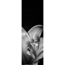 Lade das Bild in den Galerie-Viewer, Poster Osterlilie Schwarz Weiß Panorama Hoch