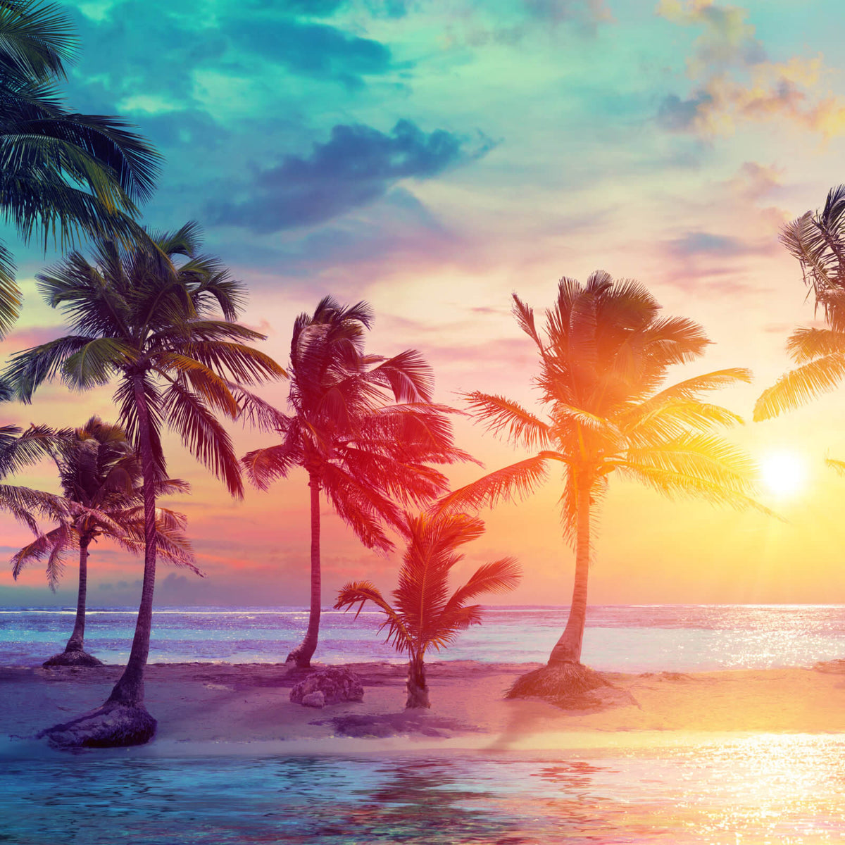 Leinwandbild Palmen am Strand bei Sonnenuntergang im Quadrat,  Aufhängefertig & Versandkostenfrei – Wandguru
