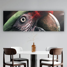 Lade das Bild in den Galerie-Viewer, Aluminiumbild Papagei im Dschungel Panorama