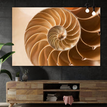 Lade das Bild in den Galerie-Viewer, Aluminiumbild Perfekte Nahaufnahme einer Muschel Querformat