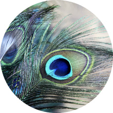 Lade das Bild in den Galerie-Viewer, Aluminiumbild gebürstet Pfau Feder Kreis