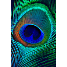 Lade das Bild in den Galerie-Viewer, Poster Pfauenauge Hochformat