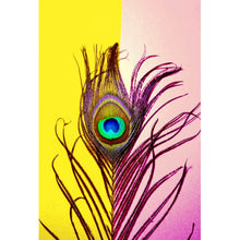 Lade das Bild in den Galerie-Viewer, Poster Pfauenfeder auf buntem Hintergrund Hochformat