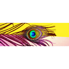 Lade das Bild in den Galerie-Viewer, Acrylglasbild Pfauenfeder auf buntem Hintergrund Panorama