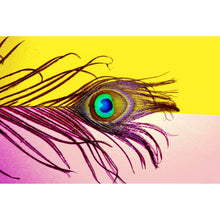 Lade das Bild in den Galerie-Viewer, Poster Pfauenfeder auf buntem Hintergrund Querformat