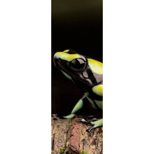 Lade das Bild in den Galerie-Viewer, Leinwandbild Pfeilgift Frosch Panorama Hoch