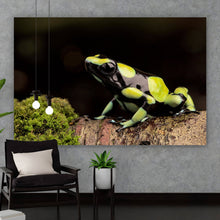Lade das Bild in den Galerie-Viewer, Poster Pfeilgift Frosch Querformat