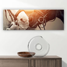 Lade das Bild in den Galerie-Viewer, Poster Pferdeliebe in Schwarz Weiß Panorama