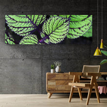 Lade das Bild in den Galerie-Viewer, Poster Pflanze mit grünen und lilanen Blättern Panorama