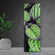 Lade das Bild in den Galerie-Viewer, Acrylglasbild Pflanze mit grünen und lilanen Blättern Panorama Hoch