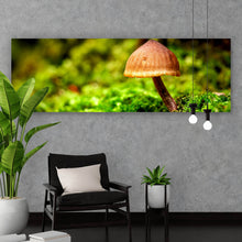 Lade das Bild in den Galerie-Viewer, Poster Pilz im Grünen Panorama