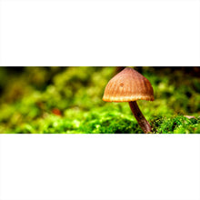 Lade das Bild in den Galerie-Viewer, Poster Pilz im Grünen Panorama