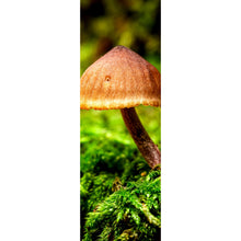 Lade das Bild in den Galerie-Viewer, Poster Pilz im Grünen Panorama Hoch