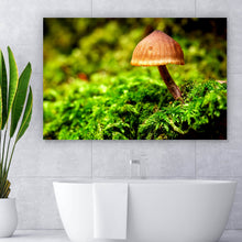 Lade das Bild in den Galerie-Viewer, Poster Pilz im Grünen Querformat