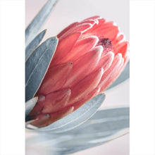 Lade das Bild in den Galerie-Viewer, Poster Pinke Knospe Hochformat