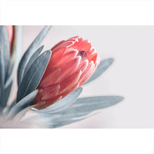 Lade das Bild in den Galerie-Viewer, Acrylglasbild Pinke Knospe Querformat