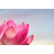 Lade das Bild in den Galerie-Viewer, Spannrahmenbild Pinke Lotusblüte Querformat